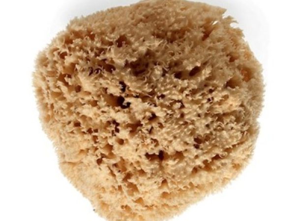 upakovka
